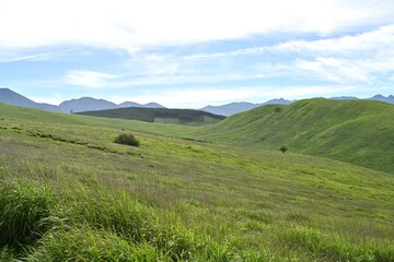 夏空と緑が広がる車山高原／長野県