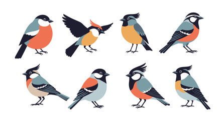 Naklejka premium Adobe Illustrator Artwork