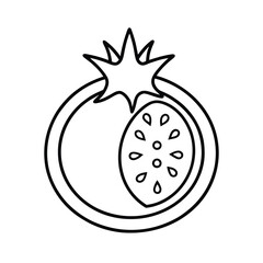 cut pomegranate outline illustration