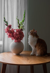 A bouquet of gladioli in a ceramic vase and a beautiful red cat on a round wooden table