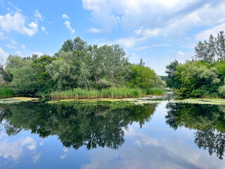 Amazing brightness of the water mirror of the Dnieper floodplains that reflects the surrounding...