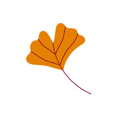 Yellow ginkgo leaf with delicate veins on a white background. Hand drawn vector illustration for autumn designs.