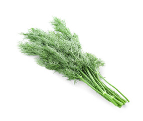 Fresh green dill on white background