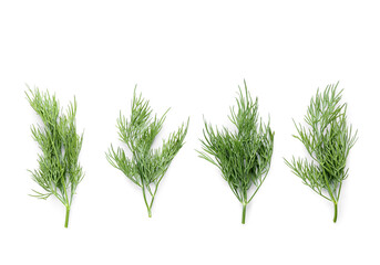 Fresh green dill on white background