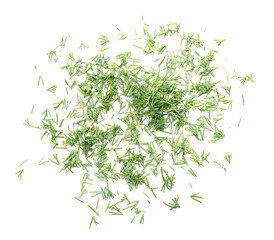 Cut fresh dill on white background