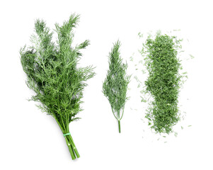 Fresh green dill on white background