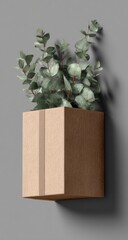 Light-grey wall holds a muted brown box, eucalyptus inside