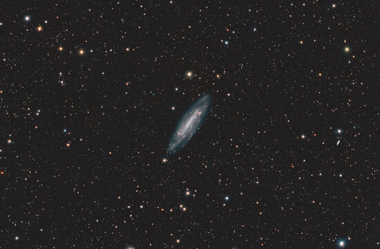Barred spiral galaxy NGC4236 in Draco constellation