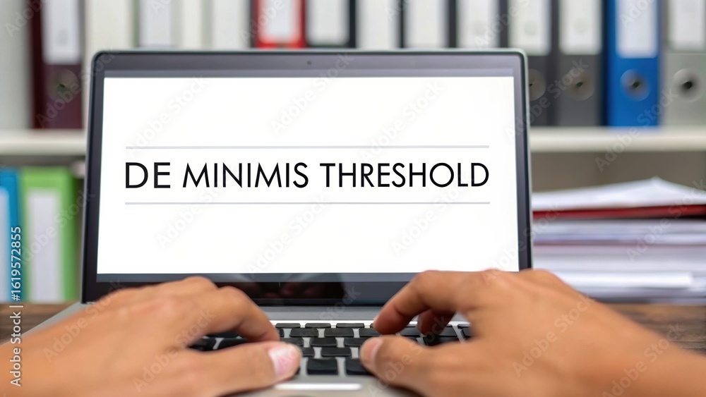 Poster de minimis value a person typing on a laptop displaying 