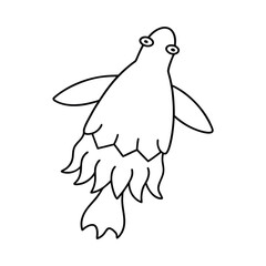 tasseled wobbegong outline vector