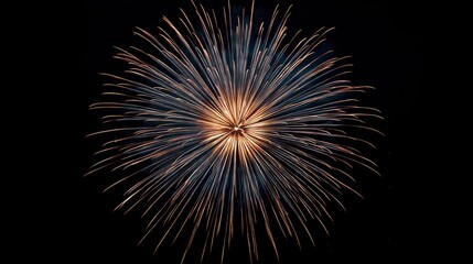 Fireworks explosion in the night sky