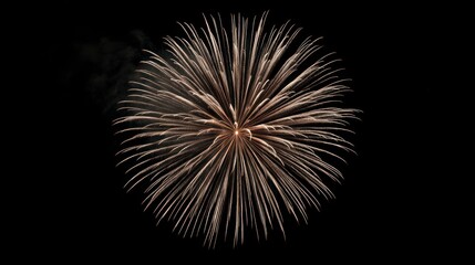 Fireworks explosion in night sky