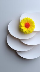 Yellow Flower on Layered White Paper Circles