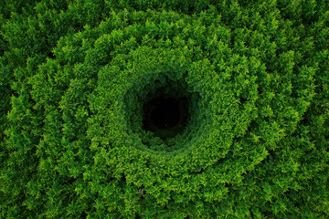 Aerial view of a dense green forest with a circular opening in the center, creating a natural tunnel effect