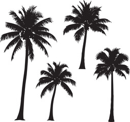 Palm trees silhouette tropical vector black background on transparent background