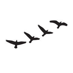 Obraz premium Collection of birds flying silhouette 