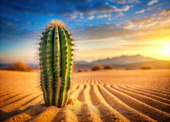 Prickly cactus in a desert landscape with warm colors and sandy texture