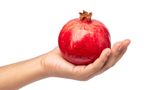 Child's hand holding an Pomegranate Isolated on Transparent or White Background.