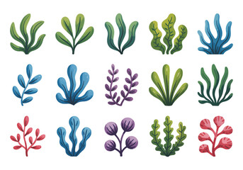 Watercolor Seaweed and Aquatic Plant Collection for Underwater Illustrations and Marine Biology Studies perfect for Children Books and Educational Materials