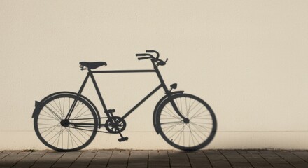 A clear, sharp shadow of a classic bicycle cast upon a textured, sunlit wall