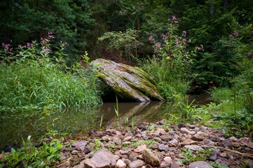 Židova Strouha Stream in South Bohemia, Czech Republic – Summer Landscape with Rocks, Lush...