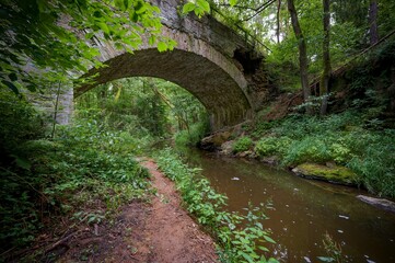 Židova Strouha Stream in South Bohemia, Czech Republic – Summer Landscape with Rocks, Lush...