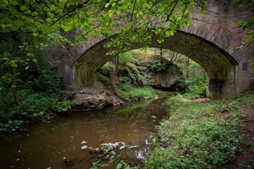 Židova Strouha Stream in South Bohemia, Czech Republic – Summer Landscape with Rocks, Lush...