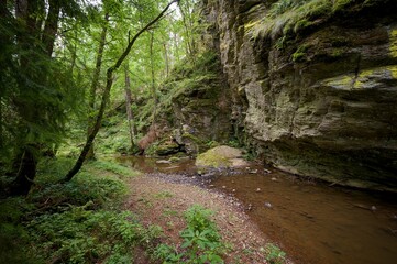Židova Strouha Stream in South Bohemia, Czech Republic – Summer Landscape with Rocks, Lush Vegetation 