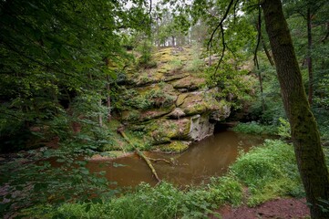 Židova Strouha Stream in South Bohemia, Czech Republic – Summer Landscape with Rocks, Lush Vegetation 