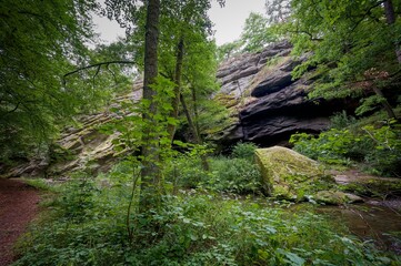 Židova Strouha Stream in South Bohemia, Czech Republic – Summer Landscape with Rocks, Lush Vegetation 