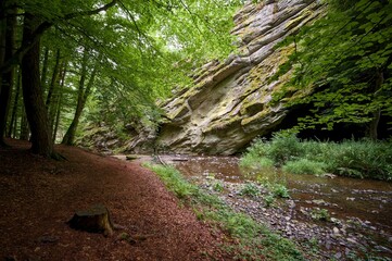 Židova Strouha Stream in South Bohemia, Czech Republic – Summer Landscape with Rocks, Lush Vegetation 