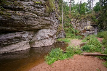 Židova Strouha Stream in South Bohemia, Czech Republic – Summer Landscape with Rocks, Lush...