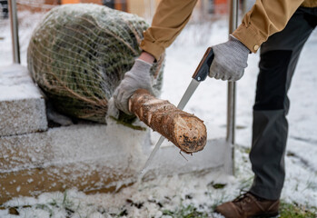 Person sawing Christmas tree trunk outdoors in snowy garden, winter holiday preparation