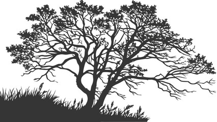 Obraz premium Silhouette of a Leafless Tree