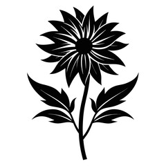  xeranthemum-silhouette-on-white-background