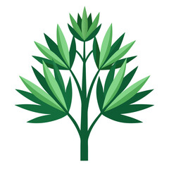 xerophyllum vector on white-background