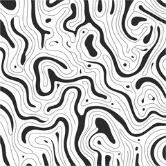 Organic Curved Lines in Black and White Abstract Design