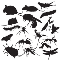 A clean and detailed silhouette illustration of an insect, designed in a vector style. The image captures the general shape and features of an insect, making it suitable for a variety of design,