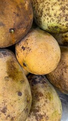 Aromatic mangos showcase spotted yellow skin, piled high in a tantalizing tropical fruit display