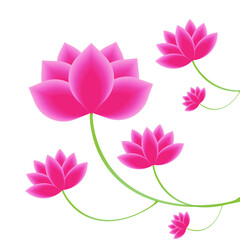 Pink lotus flower vector illustration showcasing nature's beauty and blossom. flora, petal, garden, daisy, purple, bouquet, color, beautiful, closeup, blooming, 3d, red, green, daisy, light, bright.