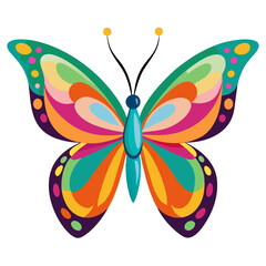 butterfly vector illustration