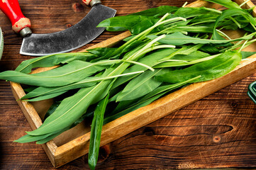 Wild Spring Ramps.