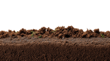 Soil Section Close-up: A detailed close-up of rich, dark soil, revealing the texture and composition of fertile earth in a photorealistic view.