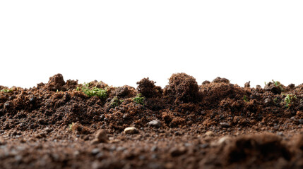 Soil Horizon Close-up: A close-up captures the rich texture and organic details of fertile soil, illustrating the foundation of life and growth.