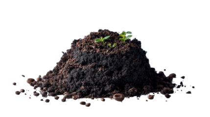 New Life Emerges: A close-up image of a small mound of rich, dark soil, from which a delicate seedling emerges, symbolizing growth and regeneration