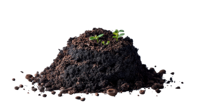 New Life Emerges: A close-up image of a small mound of rich, dark soil, from which a delicate seedling emerges, symbolizing growth and regeneration