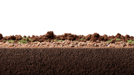 Cross-section of Soil: A detailed cross-section showcases the different layers of earth, highlighting the rich composition of soil and its integral role in supporting life.
