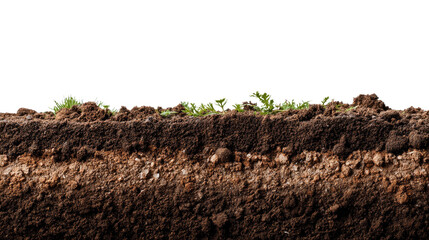 Earth Layers cross section: A detailed cross-section reveals the intricate layers of earth, from rich topsoil to bedrock.