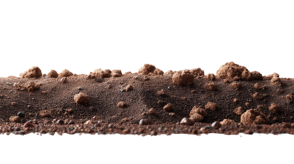 Soil Surface: A close-up perspective of rich, brown soil, the details of each clump of earth vividly captured, conveying the essential nature of the ground beneath our feet.