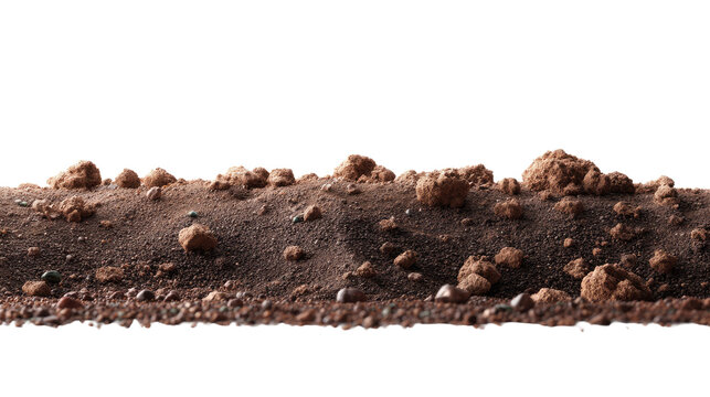 Soil Surface: A close-up perspective of rich, brown soil, the details of each clump of earth vividly captured, conveying the essential nature of the ground beneath our feet.